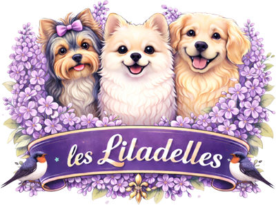 logo-site-400.png